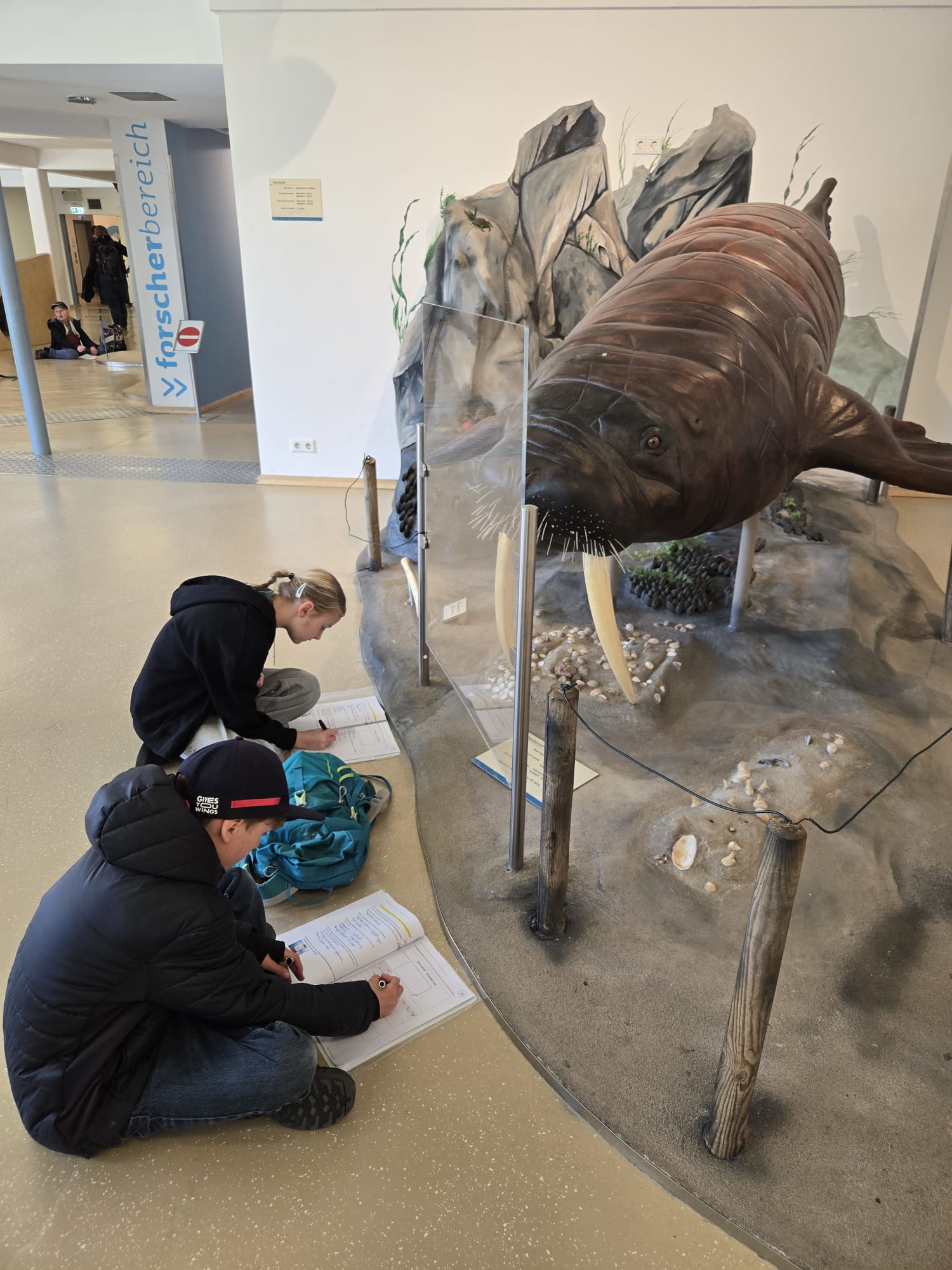 Känguru-Wettbewerb der Mathematik