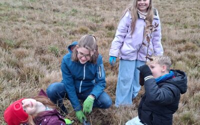 Wir pflanzen neue Bäume